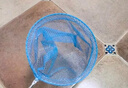 【升级款】儿童捞鱼网可伸缩蜻蜓网兜捞网小孩捕蝴蝶网罩戏水玩具 多玩法伸缩网 无伸缩渔网【1个装】超小网兜 实拍图