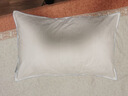 亚朵星球酒店鹅绒枕复合白鹅绒枕头芯羽绒枕仰侧睡家用颈椎枕睡眠中枕 实拍图