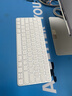 Apple/苹果 妙控键盘-中文 (拼音) 轻薄苹果键盘蓝牙键盘无线键盘办公键盘 实拍图