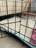 宠乐乖（CHONGLEGUAI）狗笼猫笼狗笼子中小型犬带厕所幼犬折叠便携猫笼子猫咪兔笼600ZG 实拍图