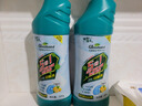 绿岛洁厕灵洁厕液500g*2瓶 马桶清洁剂卫生间除臭垢厕所杀菌去异味 实拍图