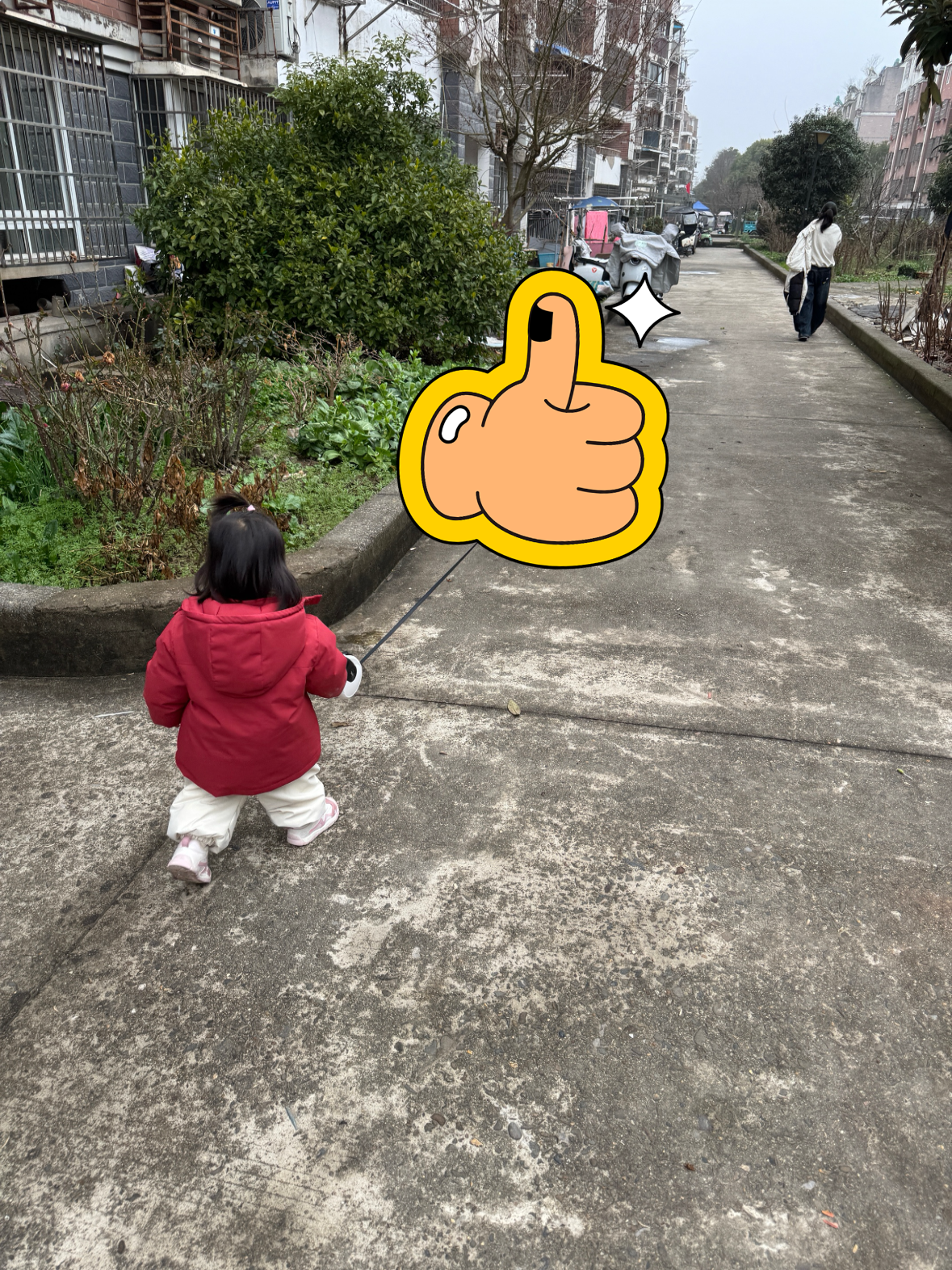 莫尔兔 儿童鞋包头溯溪凉鞋春夏季新款男女童运动户外涉水鞋男宝宝踩水 实拍图