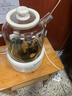 小质养生壶1.5L全玻璃花茶壶0胶水0金属恒温煮茶器办公室热牛奶神器保温壶家用烧水壶电热水壶 实拍图