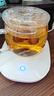 福茗源茶叶养生茶 刺梨干 贵州特产精选大颗粒脱刺富含Vc泡水喝罐装250g 实拍图