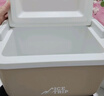 Ice trip冰途户外保温箱冷藏车载药品运输箱露营箱 实拍图