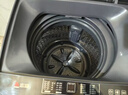 志高（CHIGO）全自动洗衣机 波轮宿舍迷你小型家用 洗烘一体 智能洗脱一体机 大容量 风干 波轮 12KG 智能风干 蓝光洁净 强力去污 实拍图