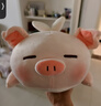 名创优品（MINISO）小猪B-BO翅膀款趴毛绒公仔玩具玩偶抱枕娃娃靠枕生日礼物女 实拍图