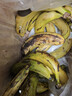 甜糯香蕉新鲜水果6号色食用最佳 青香蕉发货放软可吃放苹果催熟 甜糯香蕉带箱4斤 香甜软糯 实拍图