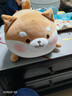 名创优品（MINISO）趣味阿柴-弹力超柔趴姿公仔毛绒玩偶玩具抱枕靠枕娃娃生日礼物女 实拍图
