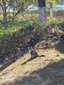 冬季男女加绒加厚电动车摩托车骑行防风寒防水防冻保暖手套户外滑雪保暖手套 【加绒加厚】炫彩蓝色 实拍图
