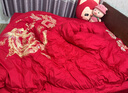 百丽丝水星家纺出品结婚四件套婚庆纯棉刺绣婚房套件大红色被套龙凤刺绣 实拍图
