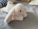 名创优品（MINISO）塔尼兔系列趴姿公仔毛绒玩具玩偶兔子娃娃抱枕生日礼物女 实拍图