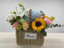 插画鲜花速递向日葵玫瑰手提花篮乔迁之喜送朋友同事亲友全国同城配送 蓝绣球向日葵混搭手提花篮 实拍图