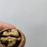 楼兰蜜语 薄皮大核桃500g/袋 新二核桃 每日坚果 新疆纸皮核桃仁 休闲零食 实拍图