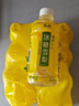 康师傅 冰糖雪梨330ml*12瓶 梨汁饮料饮品轻巧装整箱 热门商品 实拍图