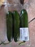 【水果菜】荷兰水果黄瓜约400g 实拍图