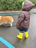 甜甜仔儿童雨鞋幼儿园3-6岁宝宝1-3岁男女童防水防滑水鞋卡通上学雨靴 实拍图