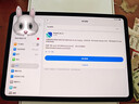Apple/苹果 iPad Pro11英寸 M5芯片 2025年新款平板电脑 256G WLAN版 深空黑色 实拍图