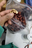 溯粮源果（25年新枣）红枣正宗新疆若羌灰枣大枣特级零食未清洗特产吊干枣 【未清洗超甜特等灰枣】2500g 实拍图