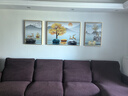 诗六艺家饰客厅装饰画现代简约大气晶瓷墙壁壁画轻奢高级感沙发背景墙挂画 旭日东升（铝合金外框） 左右50*70中间100*70cm 晶瓷画 实拍图