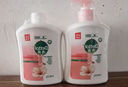 滴露（Dettol）洗手液滋润250g 儿童洗手液抑菌消毒宝宝 水润补充装尝鲜 实拍图