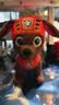 汪汪队立大功（PAW PATROL）毛绒玩具狗狗陪睡玩偶经典款路马站姿公仔男女孩六一儿童节礼物 实拍图