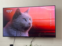 TCL雷鸟电视 55雀4 55英寸 144Hz高刷 2+32GB 护眼模式 自定义遥控器 55F270C-JN 55英寸 平板电视 实拍图