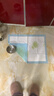 HONEYCARE好命家 好命天生宠物尿垫 训导防漏尿布 加厚厕所垫S码*6包整箱 实拍图