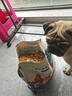 【爆品】冻干狗粮通用型成犬幼犬中小型泰迪比熊全阶段犬粮欧萨 20斤装【豪华五拼】营养冻干超多 实拍图