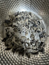 富昌 无根小片黑木耳200g/罐 秋木耳肉厚无根小秋耳 火锅食材煲汤材料 实拍图