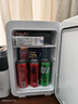 先科迷你小冰箱mini冷冻冷藏车载家用宿舍母乳办公室学生小型冰柜 暮光白双核车家两用 PD- 16L 实拍图