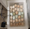 暖立方 家用型孵化器智能小鸡孵化机全自动小型鸡鸭鹅孵化箱芦丁孵蛋器 48枚双电【温度湿度天数-多模式-送水瓶】 实拍图