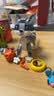 乐高（LEGO）积木玩具 创意三合一31163顽皮小猫 8岁+ 生日礼物新年礼物 实拍图