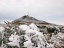 北京旅游/北京5天4晚深度游玩+酒店连住+门票预约+行程讲解+升旗/故宫/天坛/颐和园/圆明园/八达岭长城 北京商务型酒店 平时出游 成人价 晒单实拍图