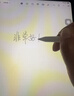 Apple/苹果 Pencil(USB-C) 磁吸触控笔手写笔苹果笔电容笔ipad笔 适用iPad 11/mini/Pro/Air 实拍图