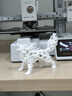 彩格3D打印耗材PLA 1.75mm适用拓竹 创想三维 爱乐酷 纵维立方 极光尔沃diy打印机绘画笔线材白色0.2kg 实拍图