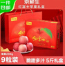 京鲜生山东红富士苹果净重 5斤礼盒+手提袋 单果230g起 源头直发包邮 实拍图