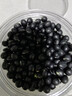 十月稻田 黑豆 2斤 青仁绿芯黑豆 非转基因打豆浆 东北五谷杂粮粗粮高蛋白 实拍图