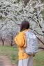 伯希和（Pelliot）【王星越同款】轻野户外登山包20L徒步轻量双肩背书包166025074灰 实拍图