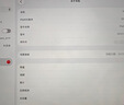 Apple/苹果 iPad11英寸 A16芯片2025年款 平板电脑 (256GB WLAN版/学习办公娱乐)粉色 实拍图