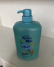 飘柔洗发水1000g家庭护理兰花双效去屑洁顺水润洗发露1kg大瓶 清爽去屑1kg*1瓶+5g小样 飘柔 实拍图