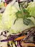 绿食者 蔬菜沙拉150g*3包 生吃蔬菜组合西餐色拉生菜健身轻食沙拉新鲜 沙拉菜3包+沙拉汁 实拍图