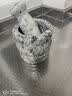 石材整石打磨捣蒜器厨房捣蒜捣香料多功能实用石臼家用料理工具 芝麻白大号 实拍图
