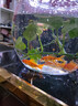 高清鱼缸 生态缸桌面溪流缸迷你金鱼缸小型水族箱养鱼龟缸PET 中号鱼缸【超清8K高透/摔不碎/久用不糊】 实拍图