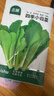 北蔬 小白菜种子苗冬春耐寒阳台速生青菜蔬菜籽 四季小白菜种子2000粒 实拍图