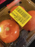 番茄约500g 实拍图