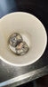解胶剂除胶剂502克星强力去胶水溶解软化快干瞬间卸甲丙酮去胶水 20g 实拍图