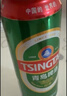 青岛啤酒（TsingTao）爆款组合500ml*12听 经典4听+白啤4听+纯生4听组合装 实拍图