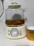 小熊（Bear）全玻璃养生壶 纯玻璃多功能恒温烧水壶煮水壶 办公室轻音炖煮茶壶 1L YSH-J10D1  实拍图