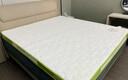 红蜻蜓（RED DRAGONFLY）乳胶床垫1.5米x2米记忆棉海绵软垫子家用卧室榻榻米褥子租房专用 印花双拼-白绿【厚约6cm】 双人床-150x200cm【不易塌陷】 实拍图